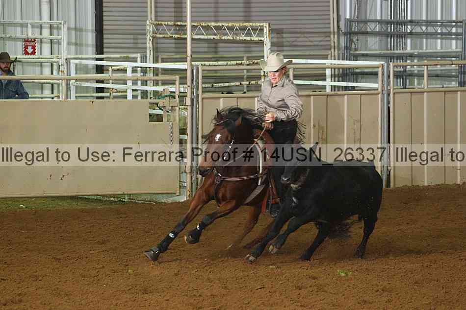 Proof 14usn_26337