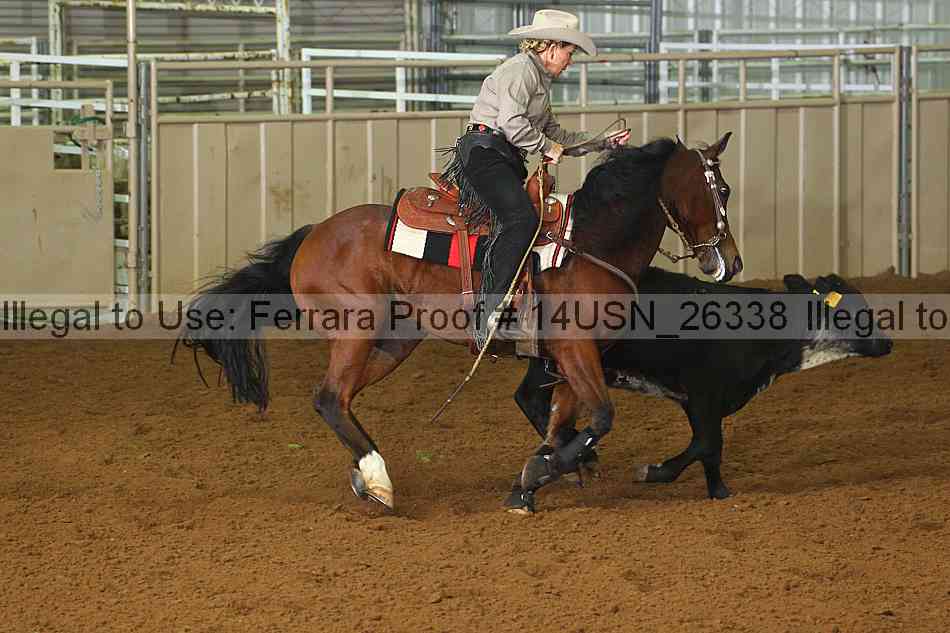 Proof 14usn_26338