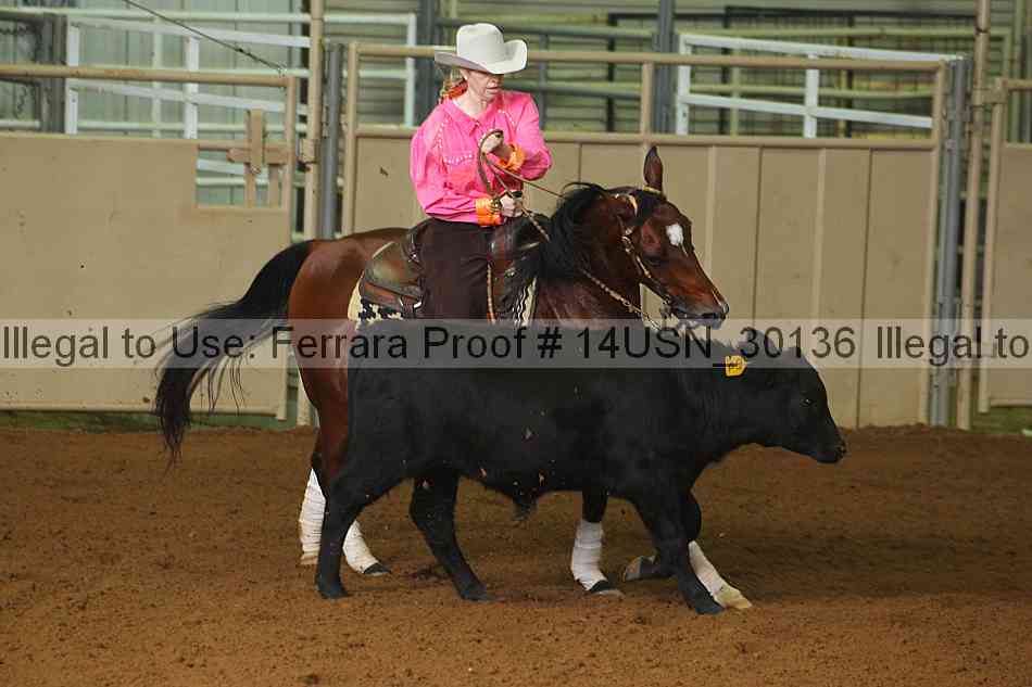Proof 14usn_30136