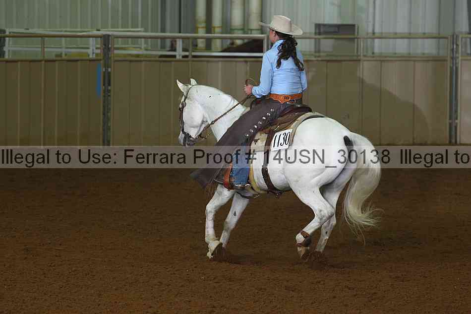 Proof 14usn_30138