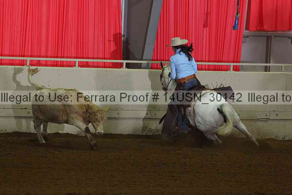 Proof 14usn_30142