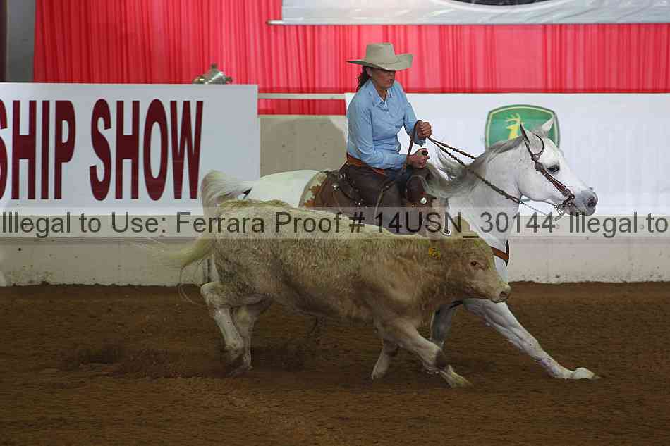 Proof 14usn_30144