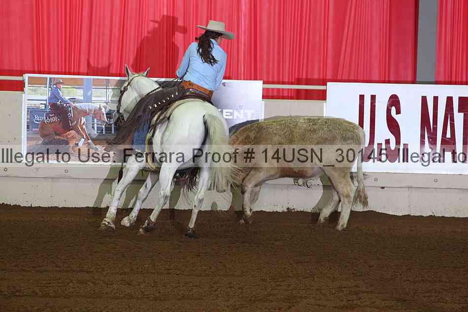 Proof 14usn_30145