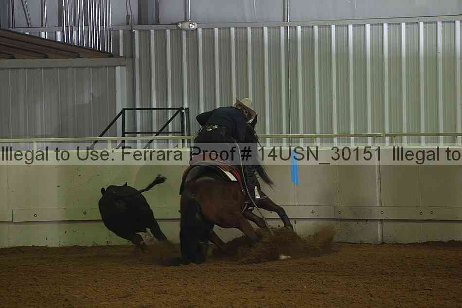 Proof 14usn_30151