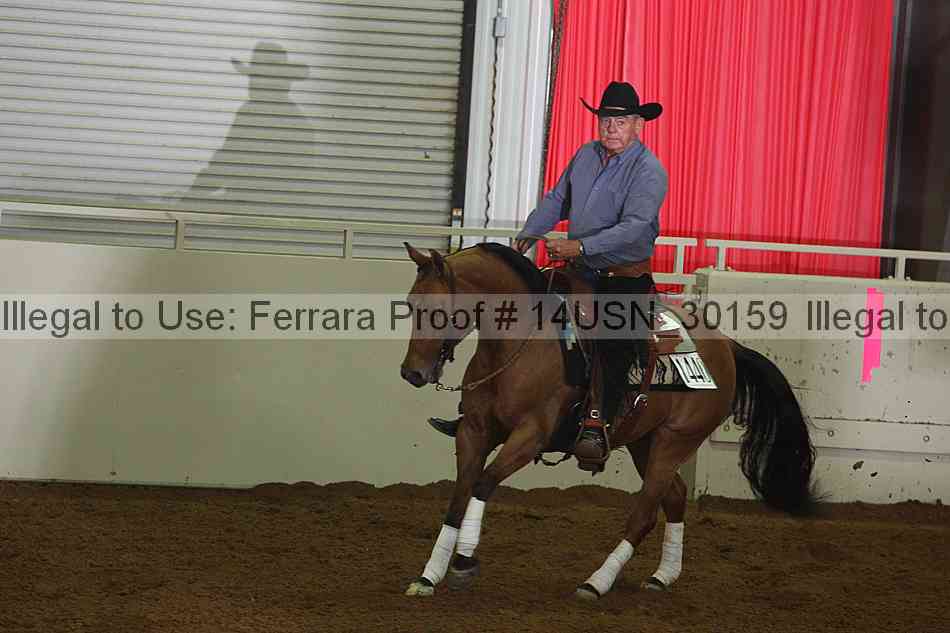 Proof 14usn_30159
