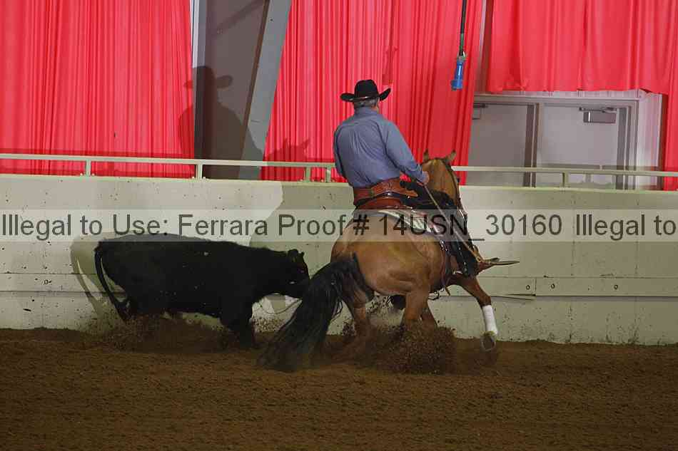 Proof 14usn_30160