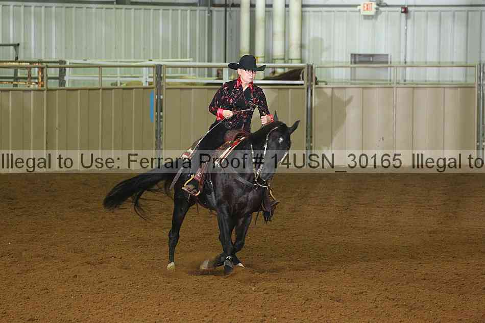Proof 14usn_30165