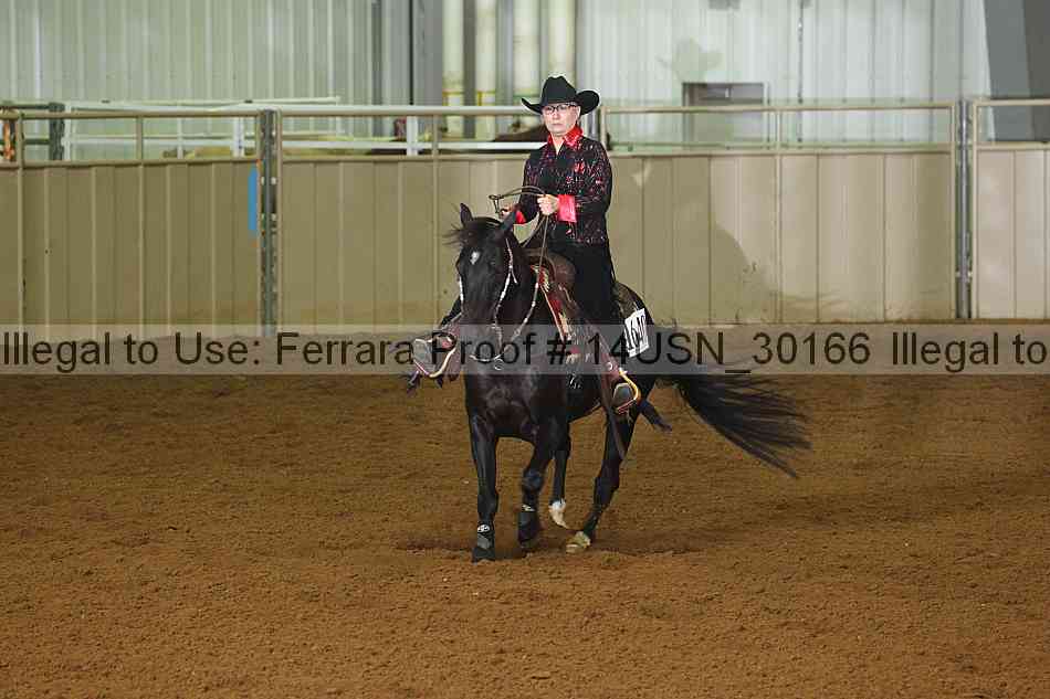 Proof 14usn_30166
