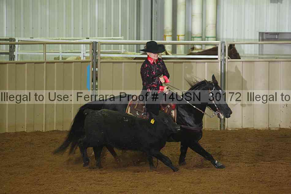 Proof 14usn_30172