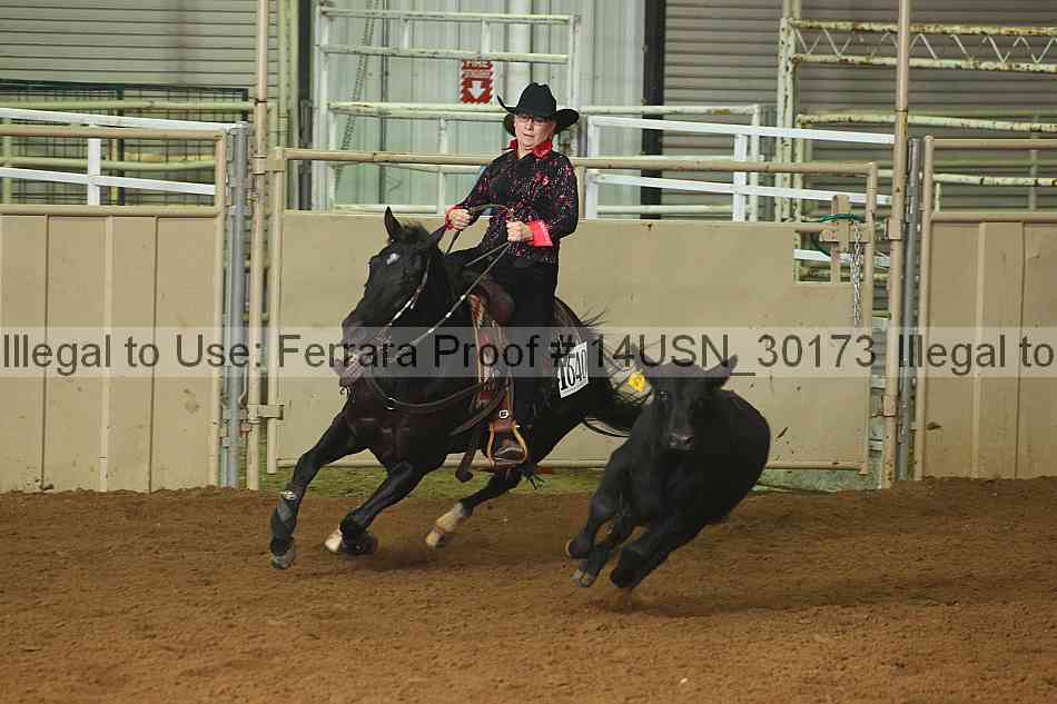 Proof 14usn_30173