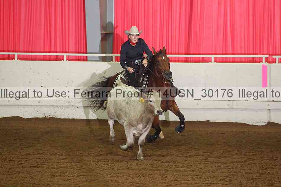 Proof 14usn_30176