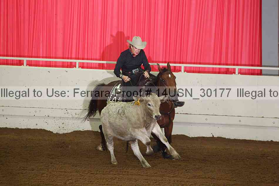 Proof 14usn_30177