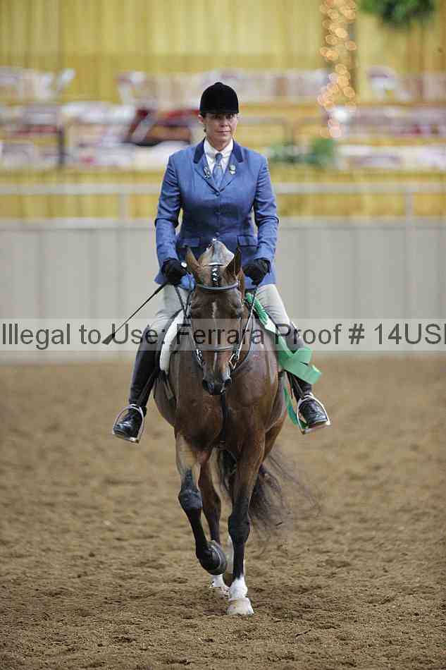 Proof 14usn_00101