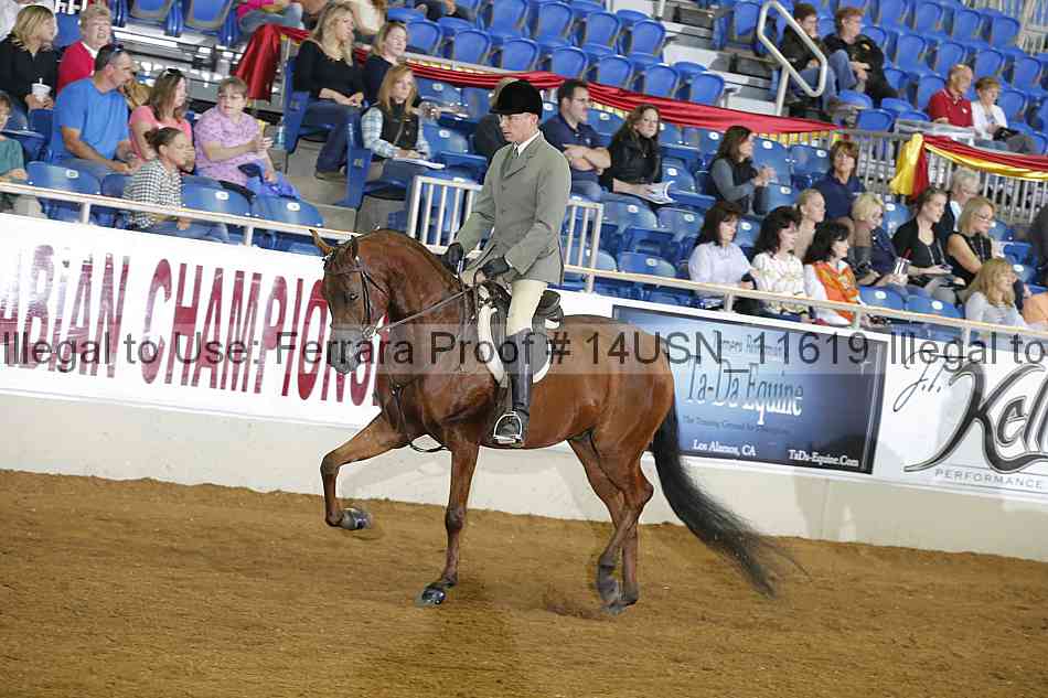 Proof 14usn_11619