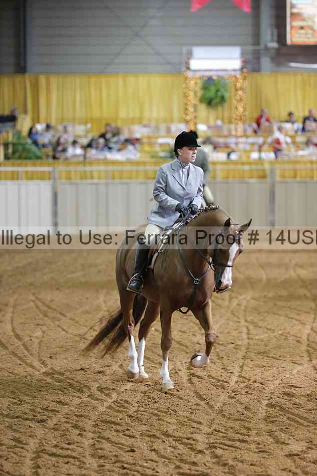 Proof 14usn_11628