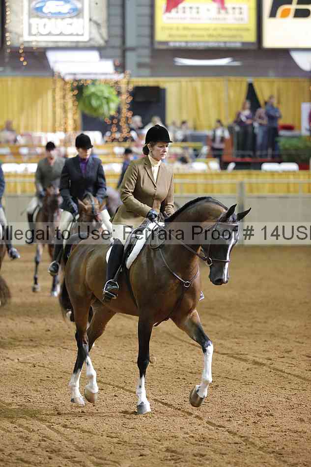 Proof 14usn_11635