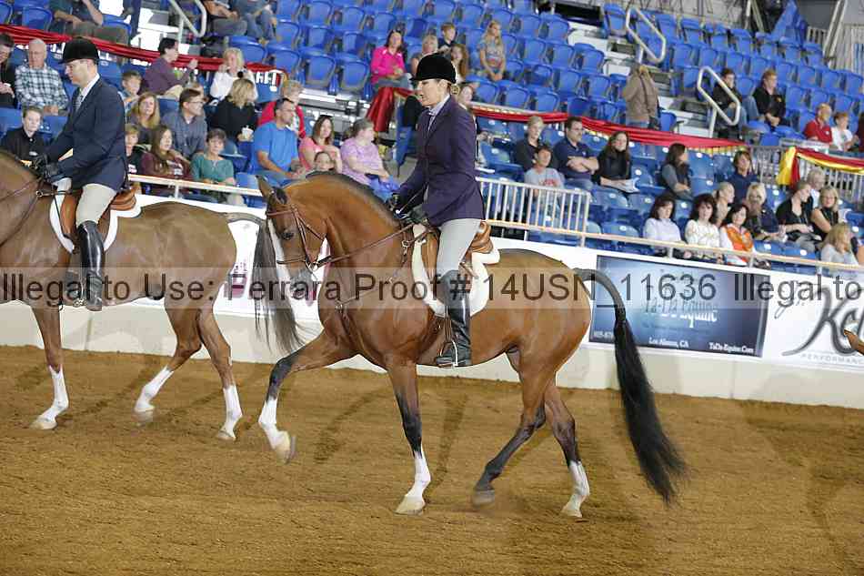 Proof 14usn_11636