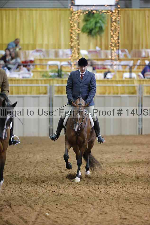 Proof 14usn_11662