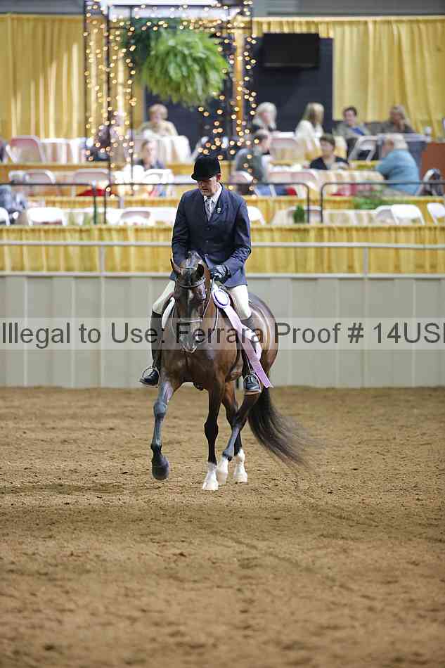 Proof 14usn_11666