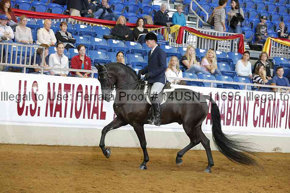Proof 14usn_11695