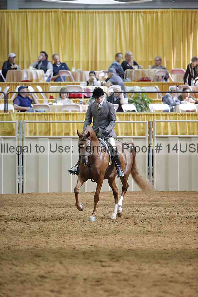 Proof 14usn_11702