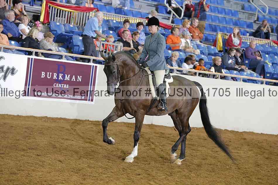 Proof 14usn_11705