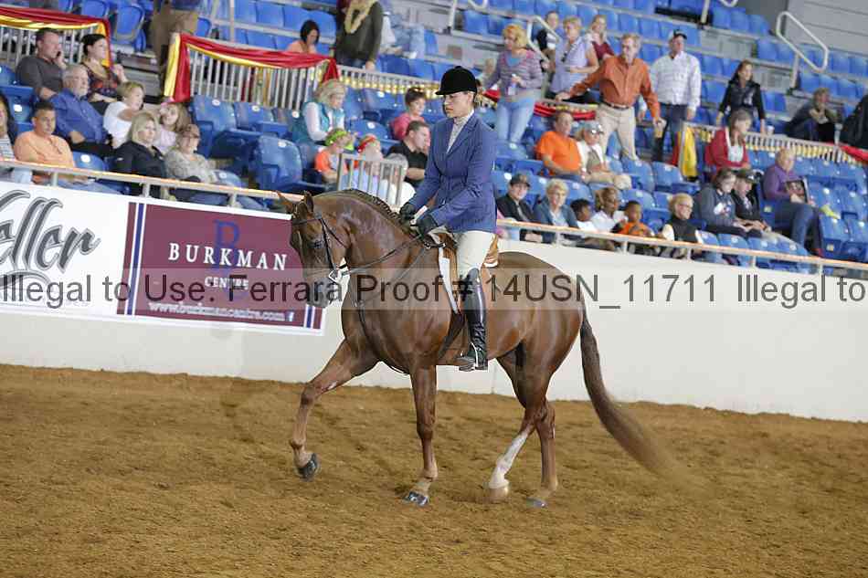 Proof 14usn_11711