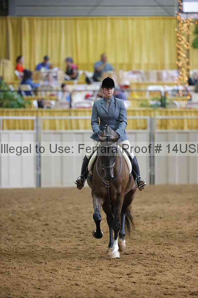Proof 14usn_11713
