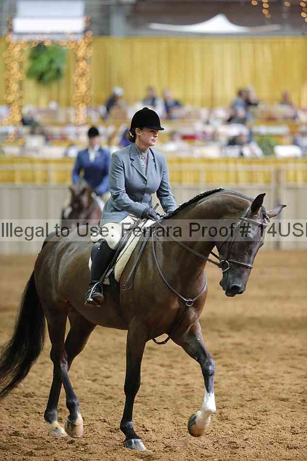 Proof 14usn_11715