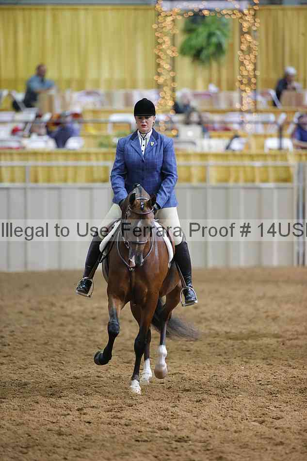 Proof 14usn_11717