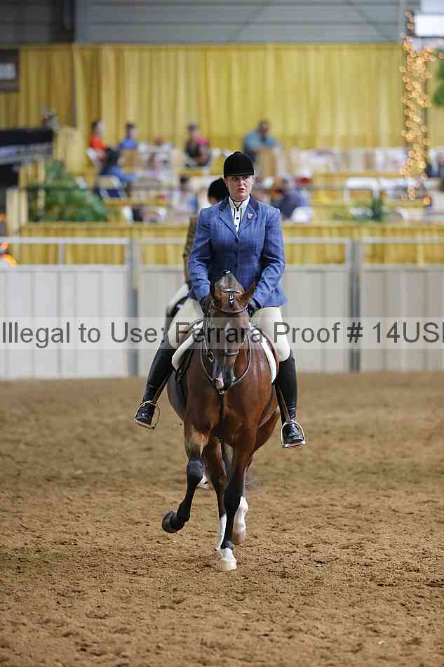 Proof 14usn_11734