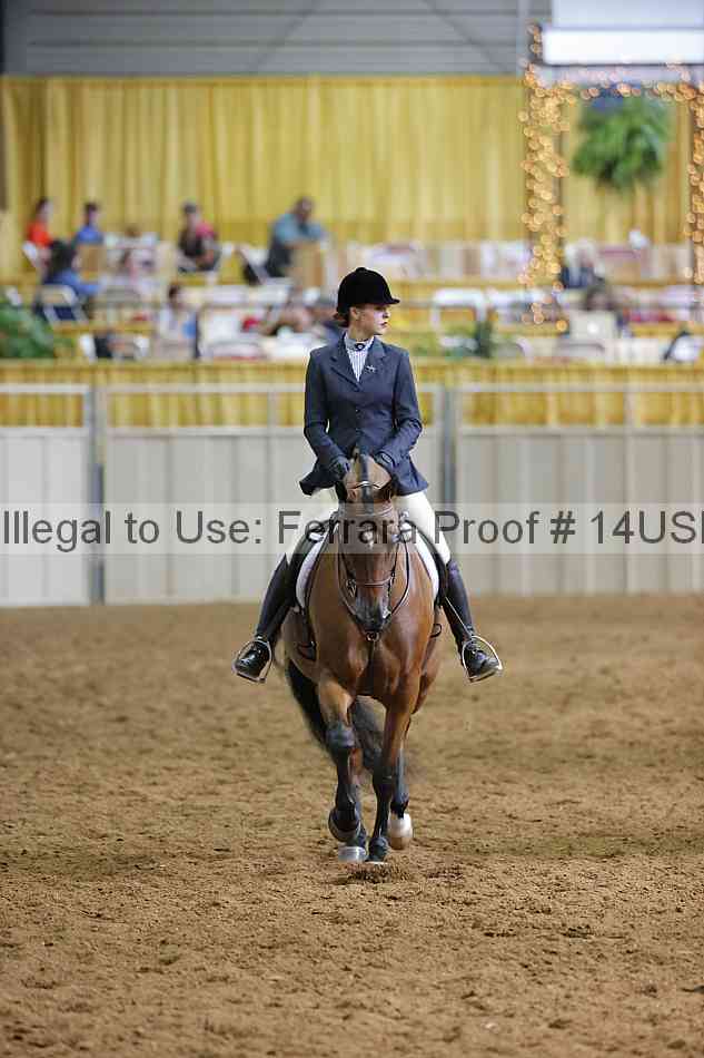 Proof 14usn_11737