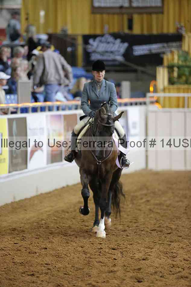 Proof 14usn_11770