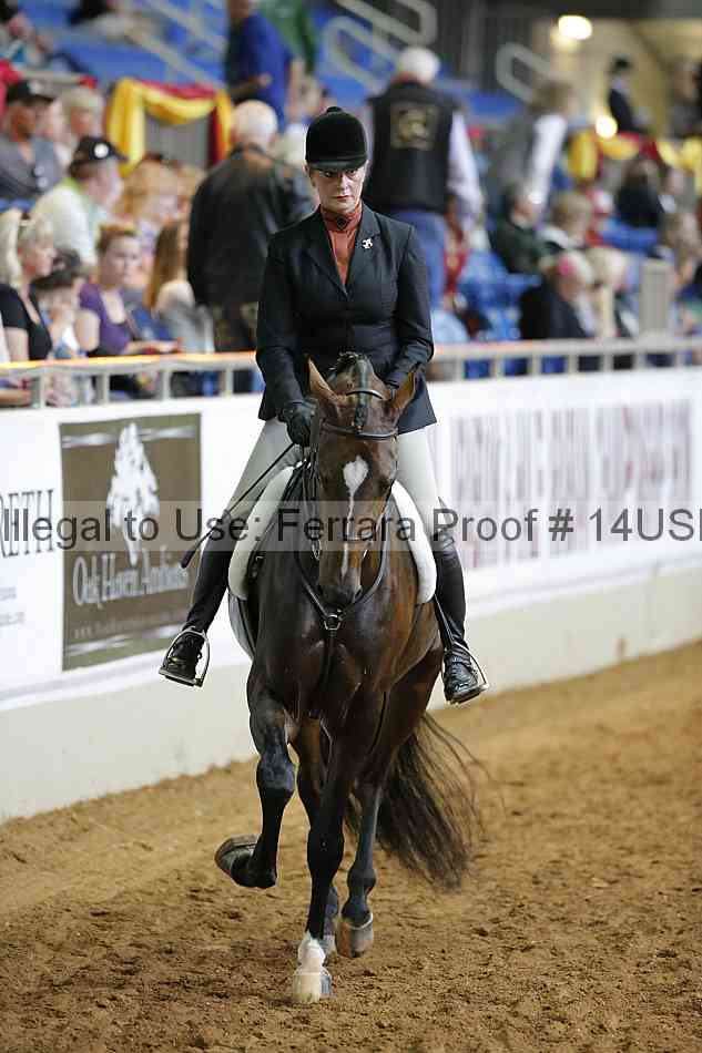 Proof 14usn_11781