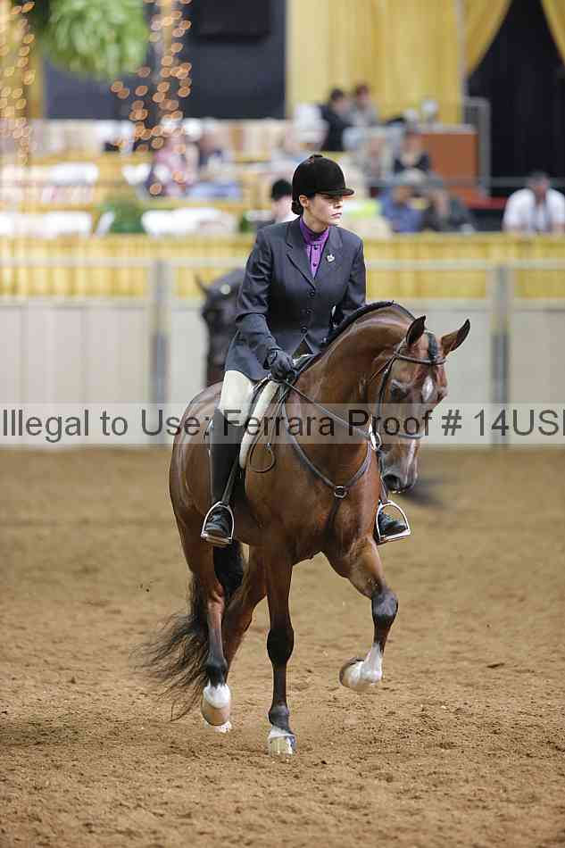 Proof 14usn_22688
