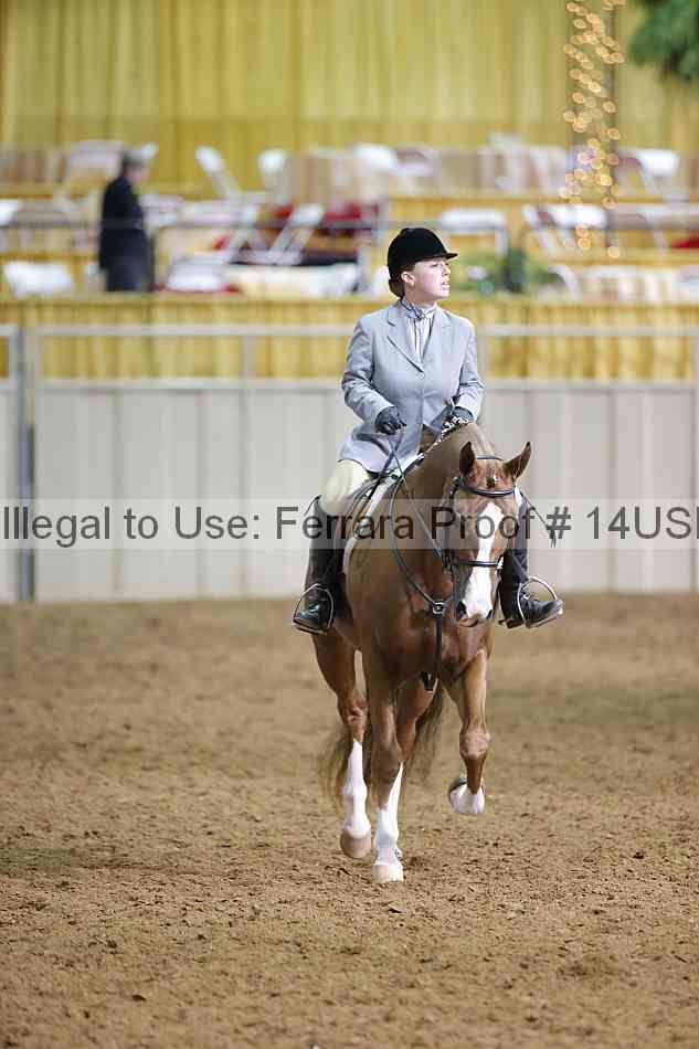 Proof 14usn_22697