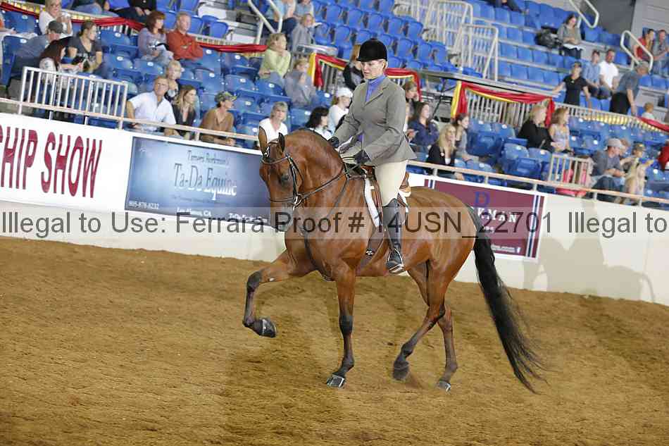 Proof 14usn_22701