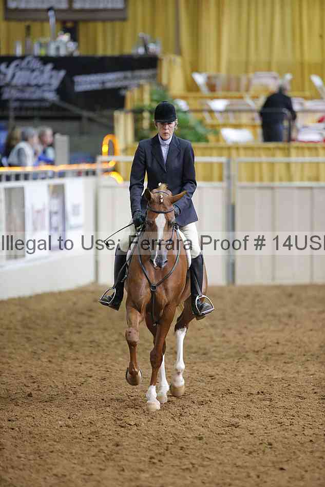 Proof 14usn_22705