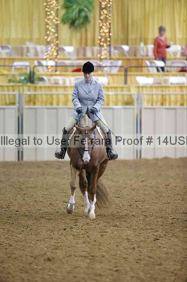 Proof 14usn_22711