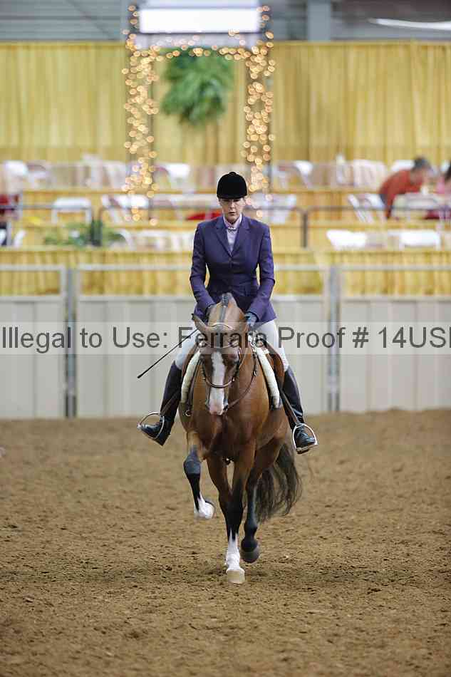 Proof 14usn_22716