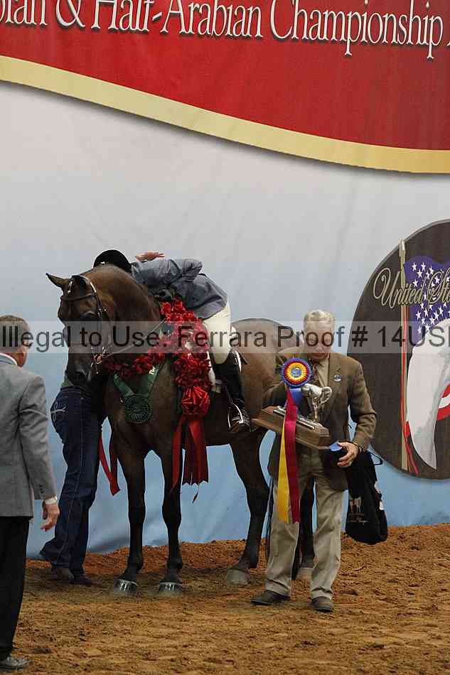 Proof 14usn_22805