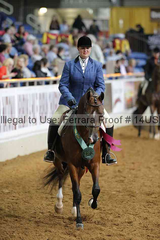 Proof 14usn_22847