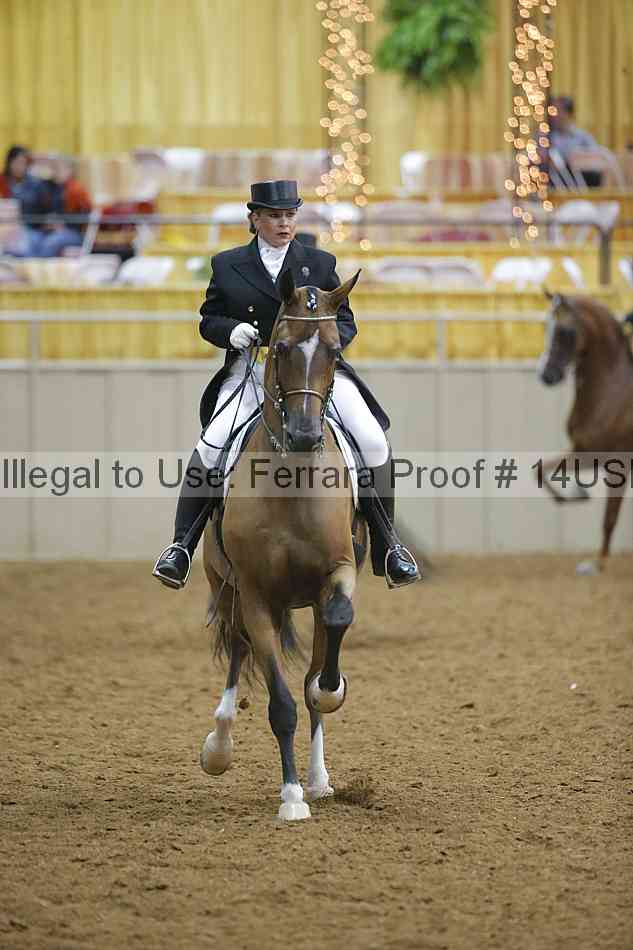 Proof 14usn_04887