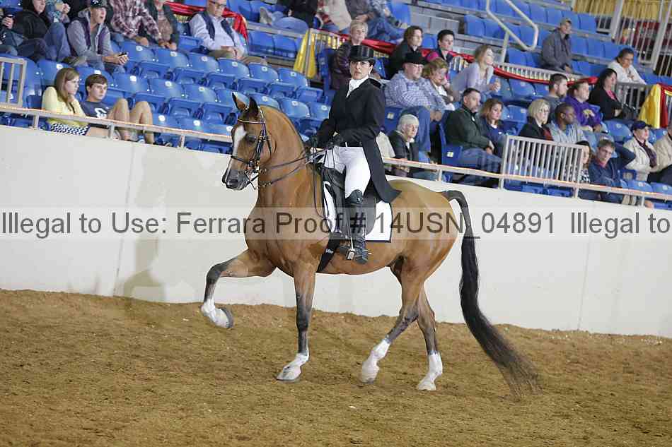 Proof 14usn_04891