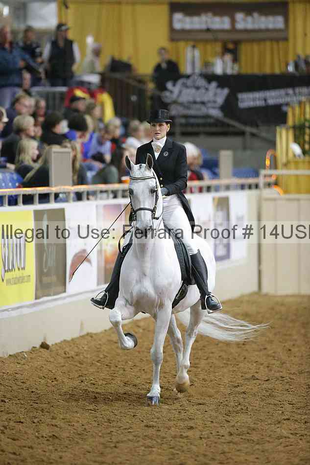 Proof 14usn_04904