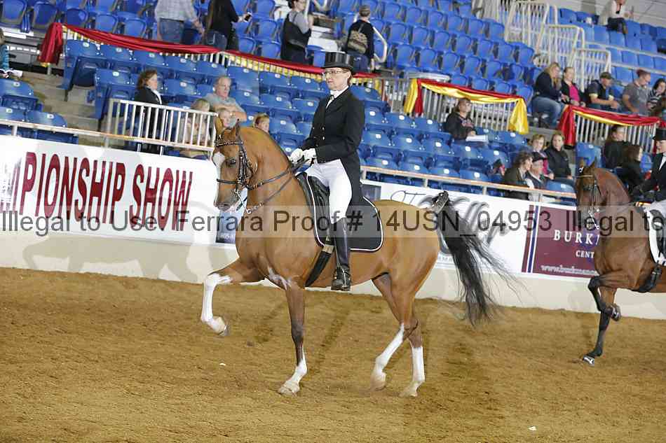 Proof 14usn_04953