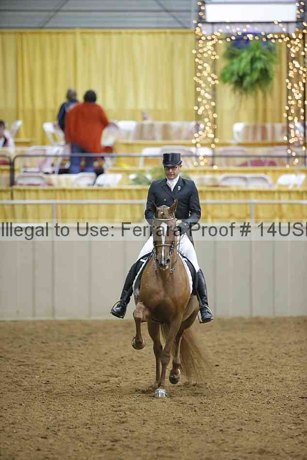 Proof 14usn_04960