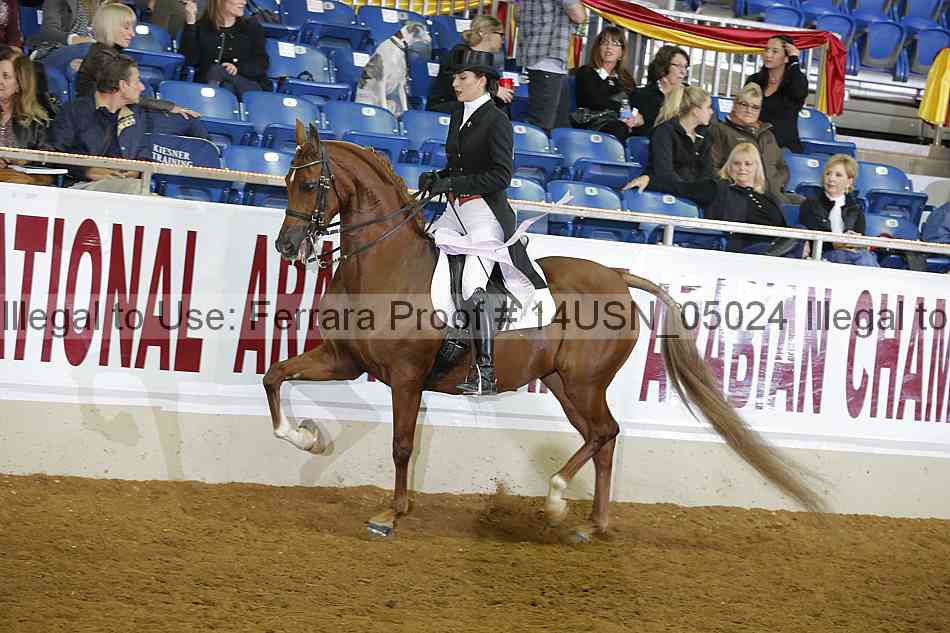Proof 14usn_05024