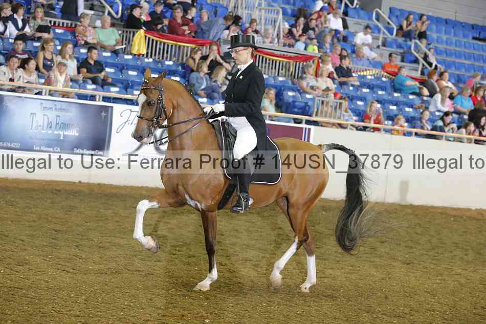 Proof 14usn_37879