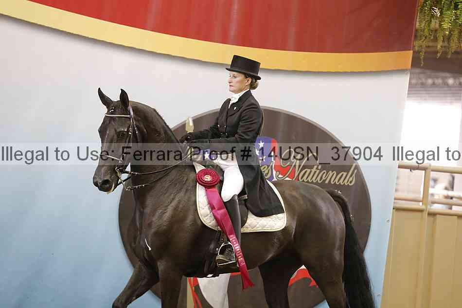 Proof 14usn_37904